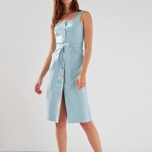 Aritizia |Babaton Kofi dress